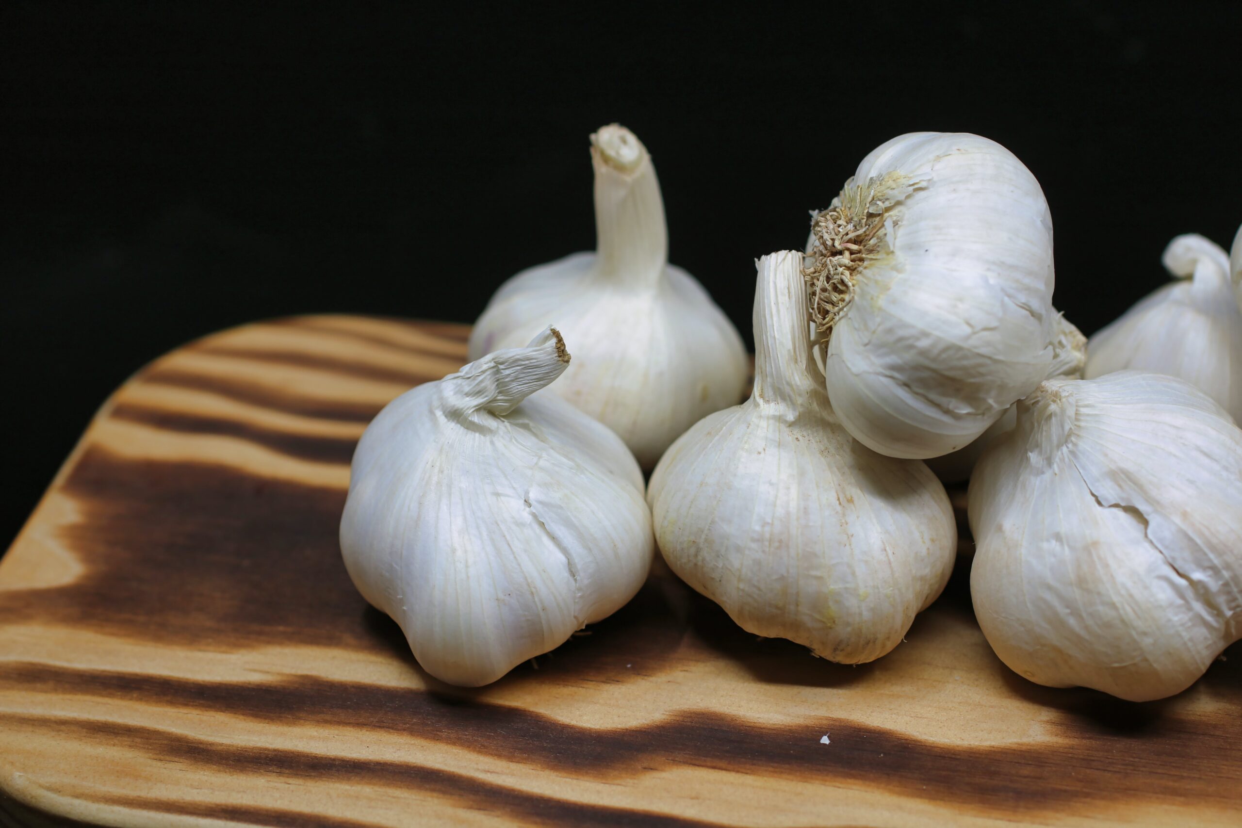 HOW IMPORTANT ROLE GARLIC PLAY IN OUR LIVES